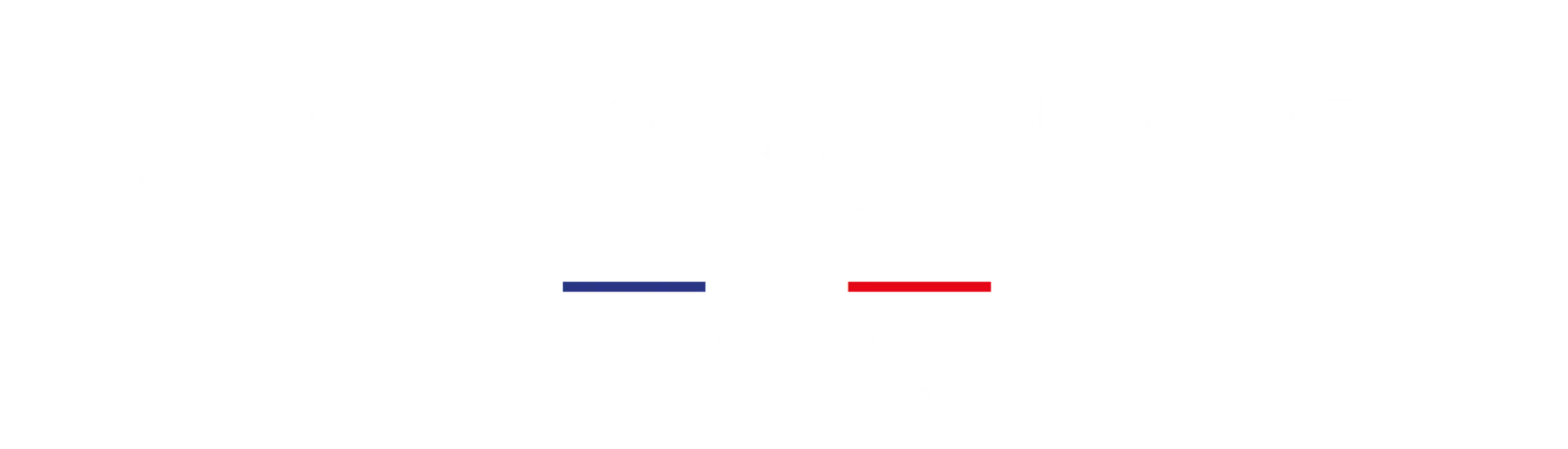 DVI FR